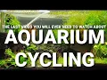 Cycling An Aquarium - Everything You Need To Know