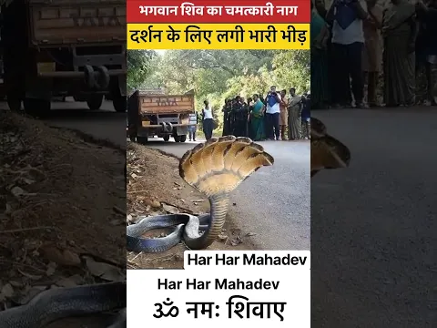 Har Har Mahadev