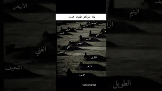 لاتنسي الاشتراك  لتبصر طريقك بنور العلم والإيمان دندنها