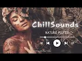 Download Lagu 6 hours Lofi Flute: The Soundtrack of Your Dreams