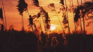 وتذكرت زماني معهم دندنها