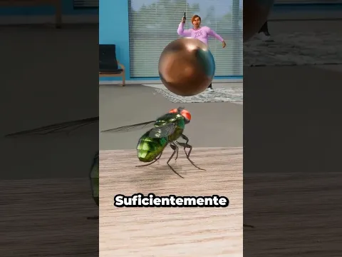 ¿Las Moscas Pueden Esquivar Balas? 🪰🔫🤔