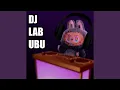 DJ LABUBU