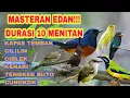 Lagu masteran murai batu full isian tembakan dan kasaran