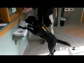 Grant Parish Sheriff s Office Gets New Electronic Detecting K9 to Help with Sex Trafficking Cases