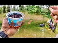 HUGE BLUEGILL EVERYWHERE EASY Way To Catch Panfish From The Bank