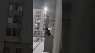 ما شاءالله طالب مصري في حي الجامعه يقرأ القرأن ويصحي الطلاب من جمال صوته صوت جميل جدا 