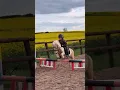 Download Lagu Ivy \u0026 the littlest pony ever. #horse #horseriding #equestrian #pony #horselover #trending #trend