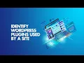 How to Find WordPress Plugins and Theme from Web Site HTML Source Code