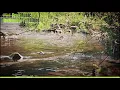Rexlambo - i'm falling [Free Music – Lofi No Copyright]