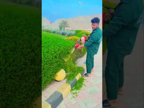 মালয়েশিয়ার কলিং খোলা হয়েছে