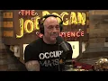 Download Lagu Joe Rogan Experience #1965 - David Choe