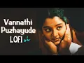 Download Lagu Vannathi puzhayude lofi mix ( rain + slowed + reverb ) / nanbanlofi