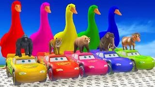 5 Giant Duck Cartoon: Paint Wild Animals Crossing Fountain! Cow, Elephant, Lion:Animals Game 🐸