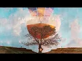 Orr Marciano - Trip (Official Music)