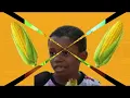 it's Corn - The Gregory Brothers