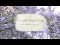How to clean oriental rugs - Opelika AL