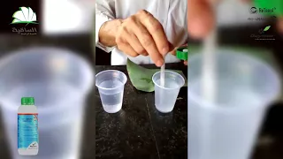 Retenol ريتينول تجربة الساقية للتنمية الزراعية 