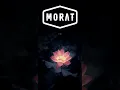 debí suponerlo /morat versión mariachi/💔...
