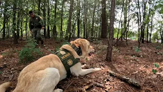 SCDNR K-9 Team Article Search Training