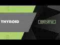 Renew Vitality Thyroid