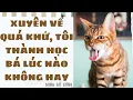 Download Lagu [Truyện Audio ] [FULL] XUYÊN VỀ QUÁ KHỨ, TÔI THÀNH HỌC BÁ LÚC NÀO KHÔNG HAY