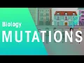 Mutations and Natural Selection Evolution Biology FuseSchool