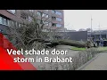 Download Lagu Beelden van storm Ciara in Brabant.