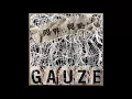 Download Lagu Gauze ‎– 限界は何処だ