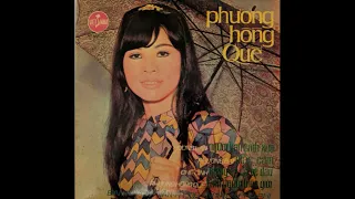 Tình người biên giới