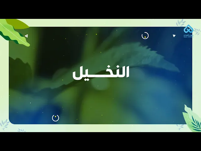 النباتات في القرآن | النخيل 08