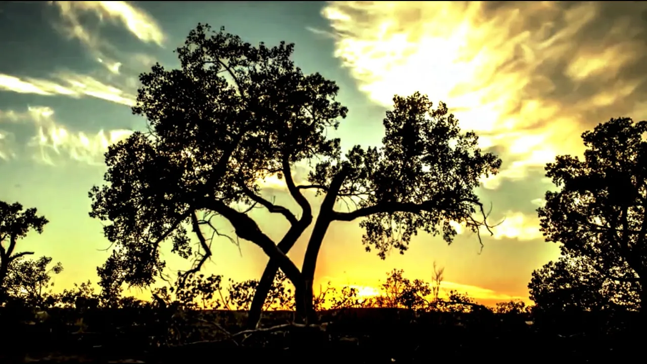 The Four Owls - Old Earth (OFFICIAL VIDEO) The Four Owls - Old Earth (OFFICIAL VIDEO)