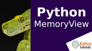 Python MemoryView
