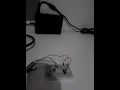 The Raspberry Pi Platform and Python Programming Week 4 Assignment