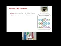 Coding for efficient and scalable DNA synthesis