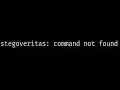 how to solve stegoveritas - install