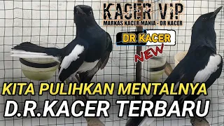 Download KITA KASIH TERAPI KACER HILANG MENTAL INI AGAR CEPAT KACER TARUNG LAGI | RAWATAN KACER MP3
