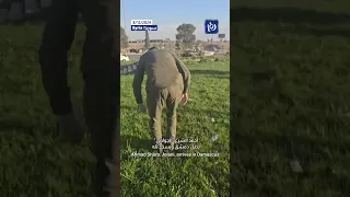 أحمد الشرع الجولاني يصل دمشق ويسجد لله Shortsvideo Shortvideo Shorts Short Shortsclip 