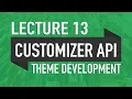 Lecture 13 - The Customizer API