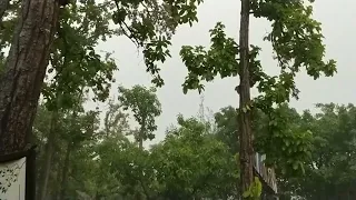 ویدیو آرامبخش انگیزشی لذت بردن از بارش باران 