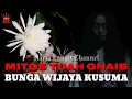 Download Lagu Mitos Khasiat Ghaib Bunga Wijaya Kusuma