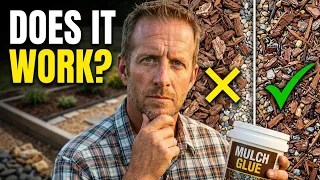 I Tested Mulch Glue So You Don t Have To