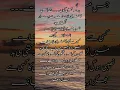 Download Lagu Shaed yeh wakt ham se koi chaal chal gaya #quotes #poetry #shairyi #deeplines #love