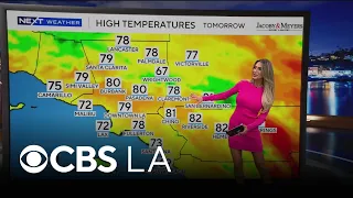 Dani Ruberti s NEXT Weather Forecast