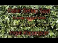 Download Lagu Dzikir setiap saat kajian ilmu hakikat Gus Mukhlason  Rosyid
