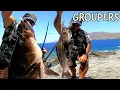 Probably the BEST hardlure for GROUPERS Gravity Runner