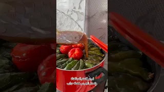 اطيب دولمه حامضه ولاجعه وتخبل دولمة اكلات اكسبلور شيف أطيب أكلة ستوريات يوتيوب لايك Food 
