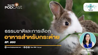 ทำไมการให้กระต่ายกินผักหรือผลไม้มากเกินไปถึงอันตราย