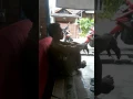 Download Lagu Goyang kepala dan jari kaki
