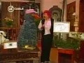 Download Lagu El Mundo del Profesor Rossa \